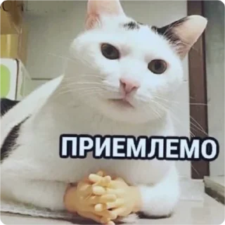 Sticker from Говнопак