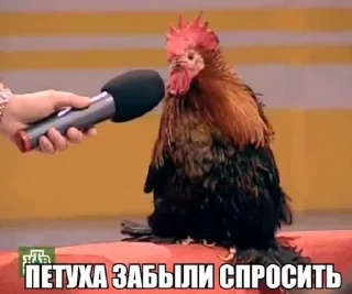 Sticker from Говнопак