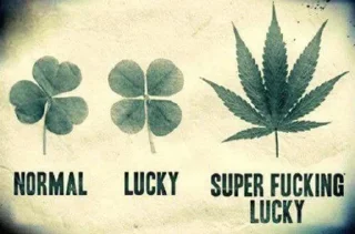 Sticker from mefedron - @nerves_fear