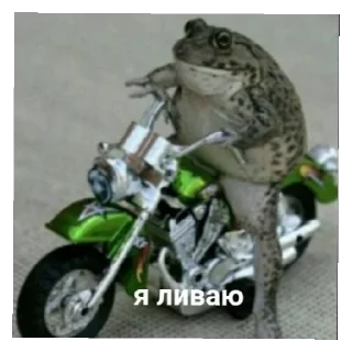 Sticker from Жабычи и ляги