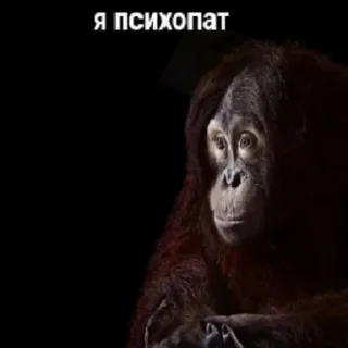 🥺 emoji пошли все нахуй Telegram sticker 1 of 58