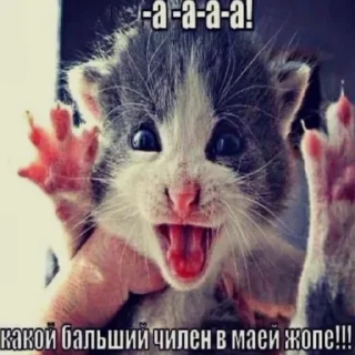 🥺 emoji пошли все нахуй Telegram sticker 4 of 58
