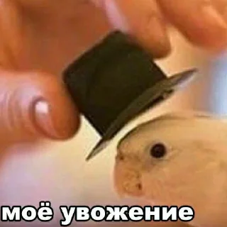 Sticker from Самые ахуенные стикеры