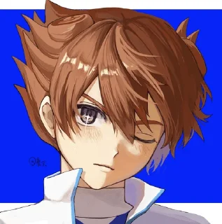 🌟 emoji Inazuma Eleven @HedgehogArs Telegram sticker 6 of 120