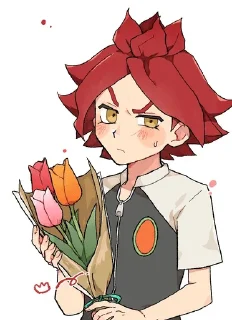 🌟 emoji Inazuma Eleven @HedgehogArs Telegram sticker 7 of 120