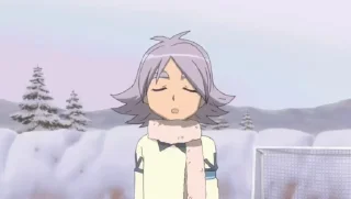 Inazuma Eleven @HedgehogArs sticker 2
