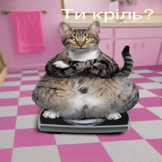 Sticker from Жизові стікери