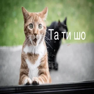 Sticker from Жизові стікери