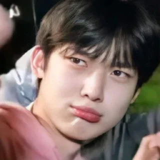 Sticker from sunghoon