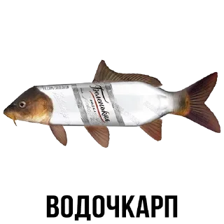 🐟 emoji Шлакоблокунь и Друзья • @stickB00K Telegram sticker 23 of 37