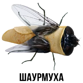 🌯 emoji Шлакоблокунь и Друзья • @stickB00K Telegram sticker 20 of 37