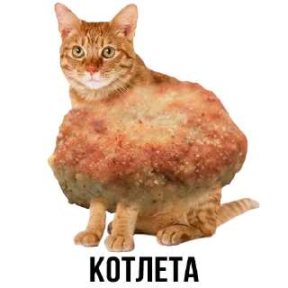 🍽 emoji Шлакоблокунь и Друзья • @stickB00K Telegram sticker 22 of 37