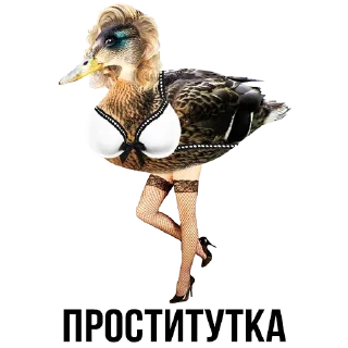 🦆 emoji Шлакоблокунь и Друзья • @stickB00K Telegram sticker 19 of 37