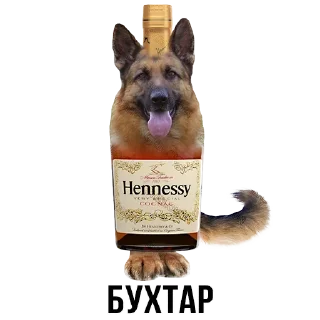 🐕 emoji Шлакоблокунь и Друзья • @stickB00K Telegram sticker 7 of 37