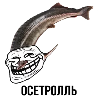 🐟 emoji Шлакоблокунь и Друзья • @stickB00K Telegram sticker 12 of 37
