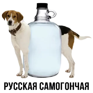 🐕 emoji Шлакоблокунь и Друзья • @stickB00K Telegram sticker 17 of 37
