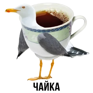 🕊 emoji Шлакоблокунь и Друзья • @stickB00K Telegram sticker 13 of 37