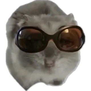 Sticker from грустный хомяк
