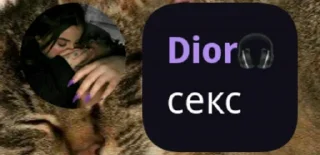 Sticker from lmao