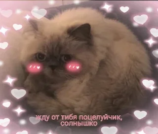 Sticker from ахбдща))