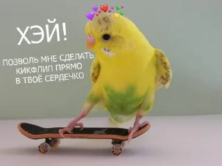 Sticker from ахбдща))