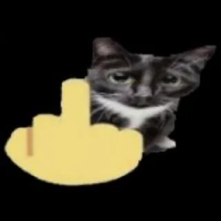 🖕 emoji by @danoway Telegram sticker 11 of 116