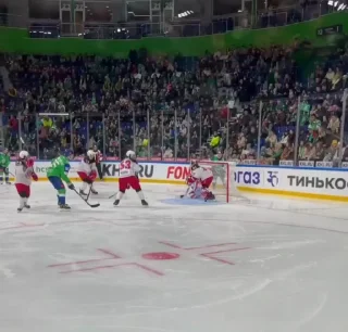 😎 emoji Хоккей🏒💚 ➡️ @Ctikerubot Telegram sticker 10 of 22