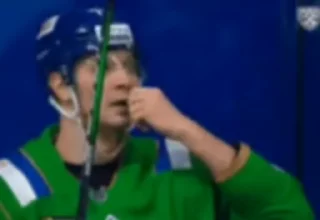 👍 emoji Хоккей🏒💚 ➡️ @Ctikerubot Telegram sticker 14 of 22