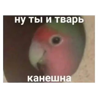 Sticker from О