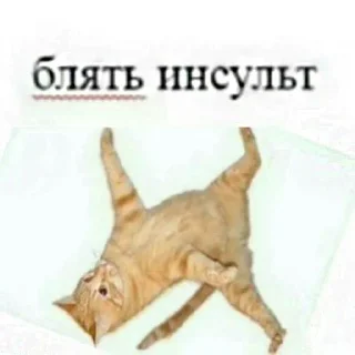Sticker from О А О
