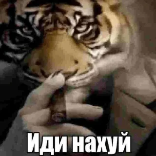 Sticker from чайный пакетик
