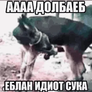 Sticker from чайный пакетик