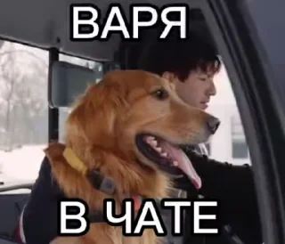 😁 emoji ДОПС В ЧАТЕ ➡️ @Ctikerubot Telegram sticker 6 of 41