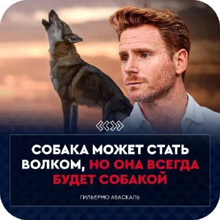 🖼 emoji Сила в Штоде ➡️ @Ctikerubot Telegram sticker 23 of 57