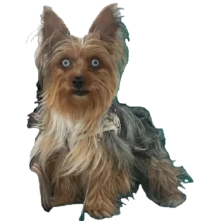 Sticker from Помогите