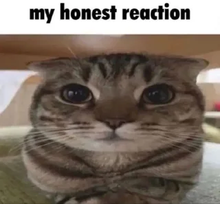 😐 emoji 🧿me fr by saaxiss Telegram sticker 6 of 60