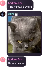 🕓 emoji Бухтелочка 2000🤣 pack by @QuotLyBot Telegram sticker 8 of 117