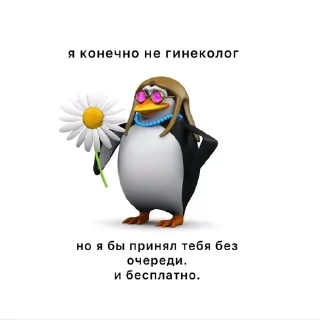 🌟 emoji мяу детка))) Telegram sticker 22 of 55