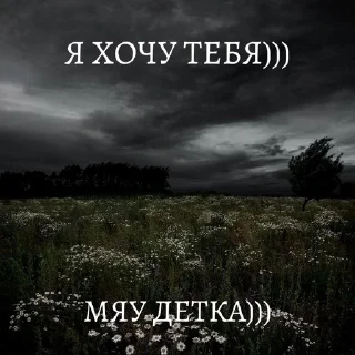 мяу детка))) sticker 4