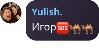 🆘 emoji игорь Telegram sticker 14 of 59