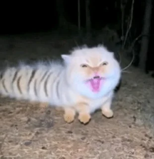 Котосова. sticker 3