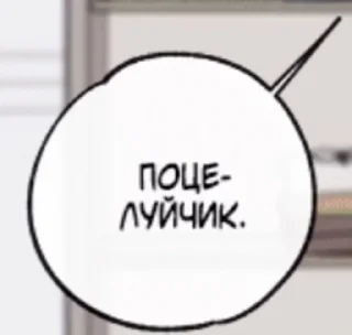 Солянка из яоя sticker 1