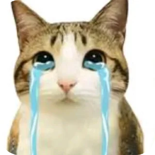 Котосова. sticker 4