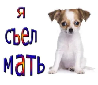 ⭐️ emoji Рофлс @Tgthemstickbot Telegram sticker 21 of 75