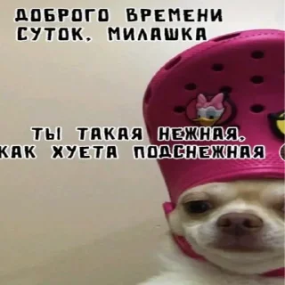 😅 emoji Рофлс @Tgthemstickbot Telegram sticker 19 of 75