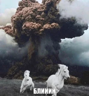 Sticker from дарлич в бункере