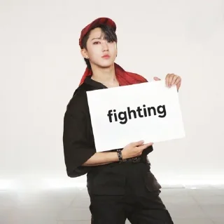 Sticker from skz fighting!