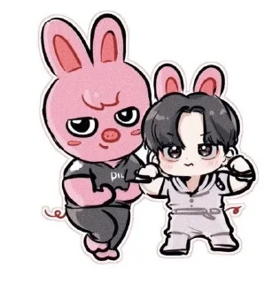 Sticker from Stray kids and skzoo