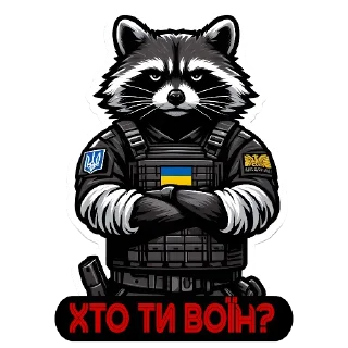 Sticker from Raccoon Warrior 🦝🪖@AUDI_32
