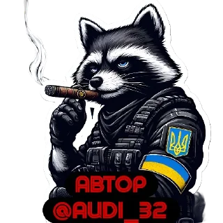 Sticker from Raccoon Warrior 🦝🪖@AUDI_32